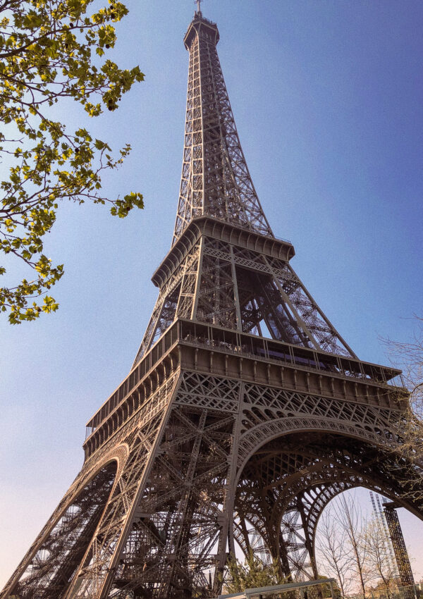 Eiffel tower garden area