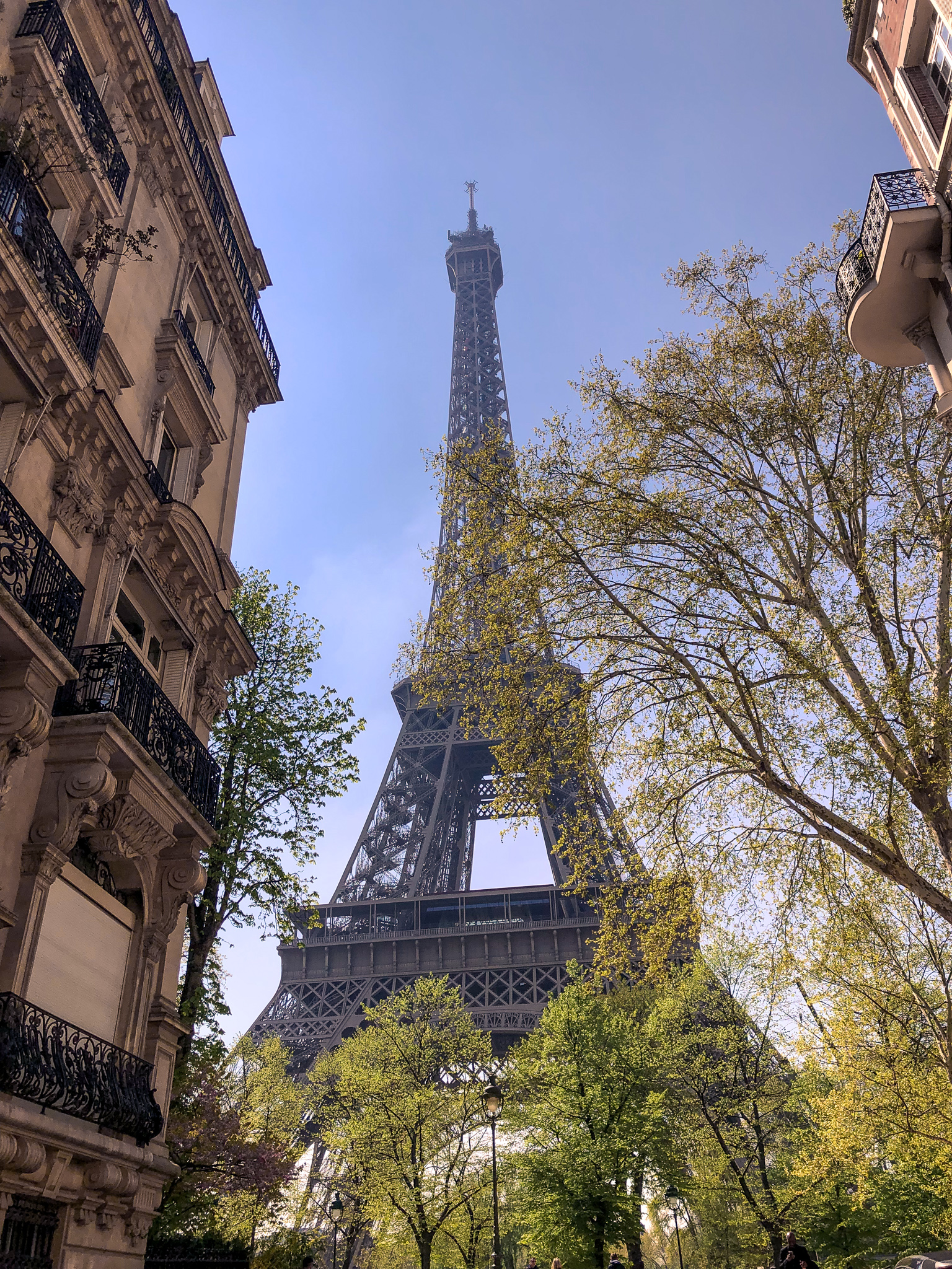 the Eiffel Tower Iron Lady