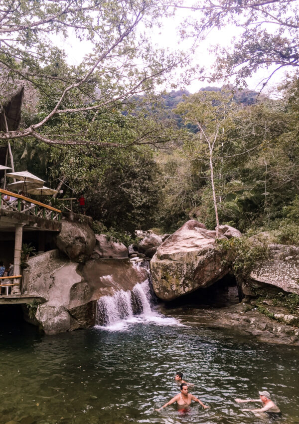 waterfall and trees