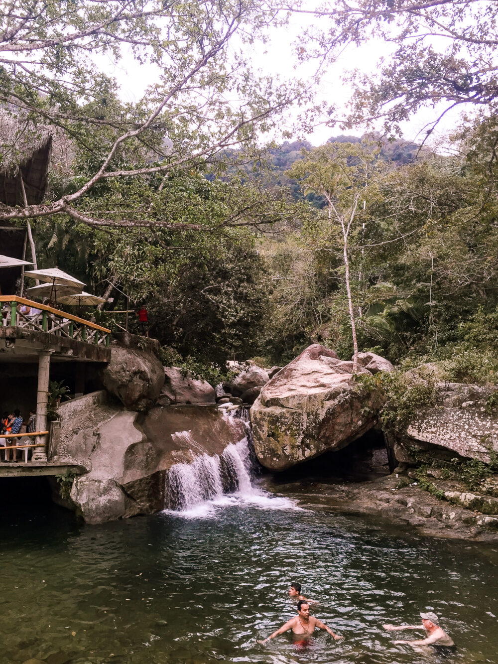 waterfall and trees